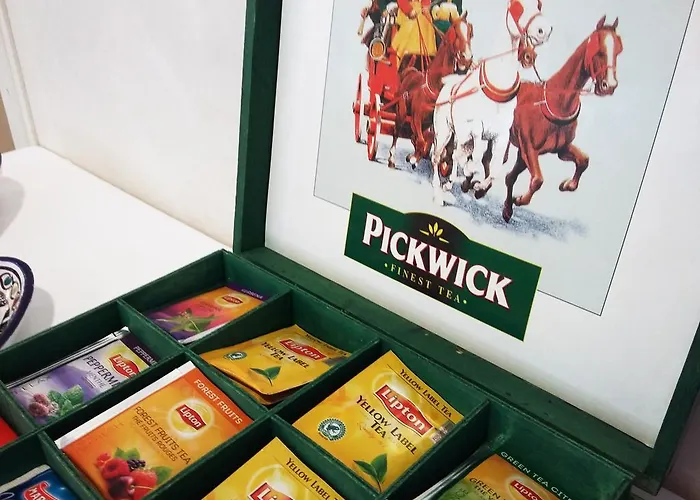 Condor Milano Marittima