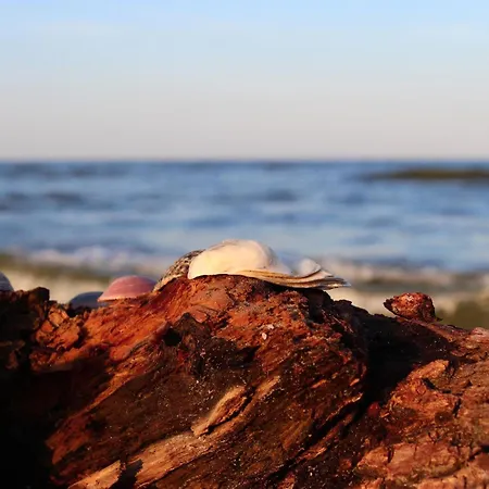 Ξενοδοχείο Condor