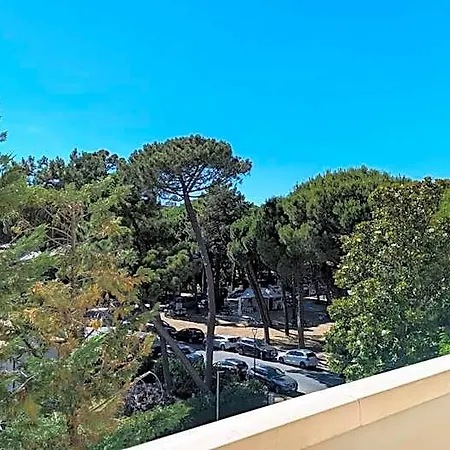Condor Milano Marittima