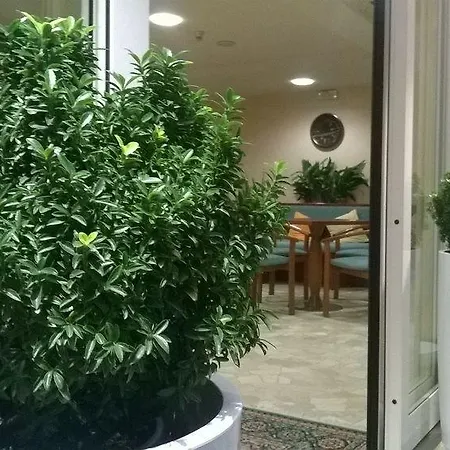 Condor Hotel