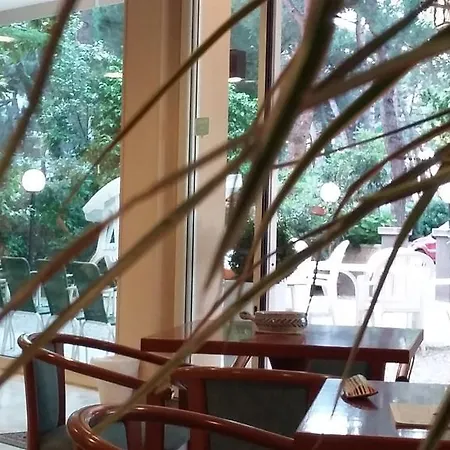 Condor Hotel 3*