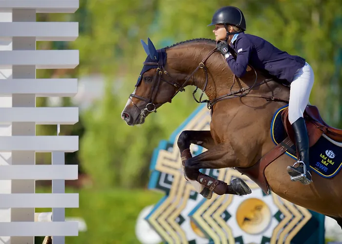 Hotel Condor Milano Marittima